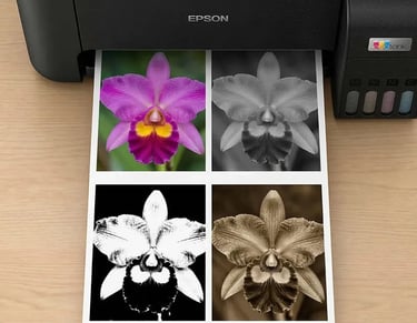Impressora multifuncional cor Epson EcoTank L3250