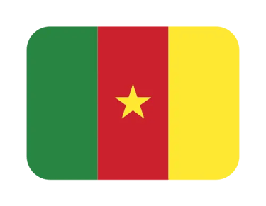 The national flag of Cameroon featuring green, red, and yellow vertical stripes with a central gold star.