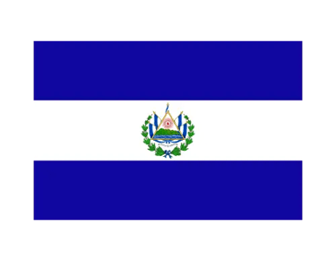 The national flag of El Salvador featuring blue and white stripes with the central coat of arms.