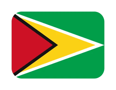 Official national flag of Guyana with green, gold, red, white, and black geometric shapes.