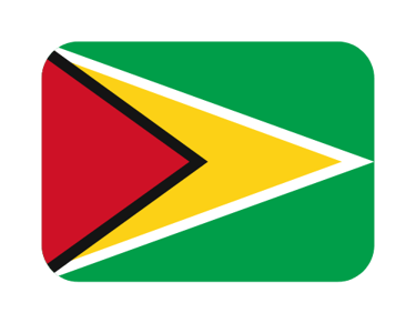 Bandera de Guyana