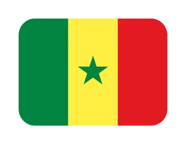 The national flag of Senegal featuring green, yellow, and red vertical stripes with a green star.