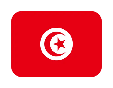 The national flag of Tunisia featuring a red crescent and star on a white circle icon.