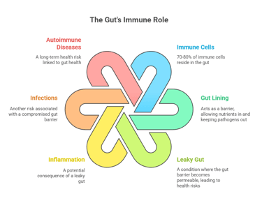 gut health immune role