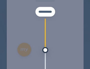 Producator Rolete textile Electrice cu actionare electrica pe telecomanda, buton, de pe telefon