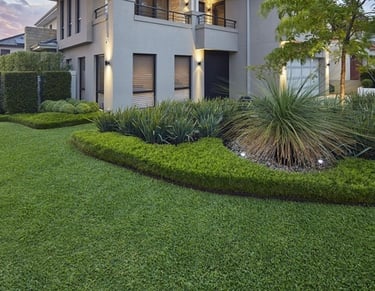 A newly installed Buffalo Grass lawn for a commercial property in Electronic City, Bangalore