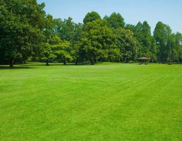 Commercial Bermuda Grass installation for a park in Marathahalli, Bangalore