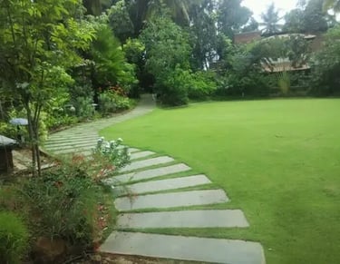 Commercial Mexican Lawn Grass installation in Koramangala, Bangalore