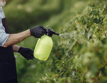 formulación fertilizantes diseño fertilizantes abonos hormononas pesticidas naturales