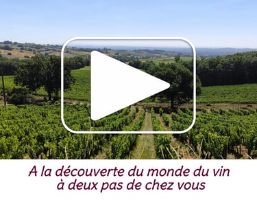 Video Qui sommes Nous