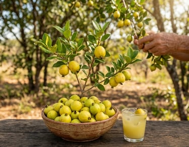 Gabirobas amarelas em tigela rústica ao lado de um copo de suco gelado sobre mesa de madeira.