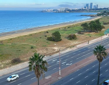 Panorama del lungomare e della costa di Puerto Vallarta