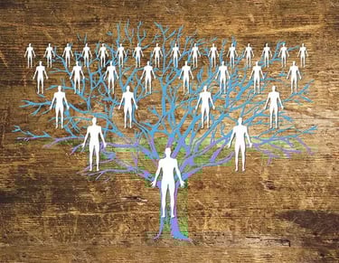 sistēmiskie sakārtojumi