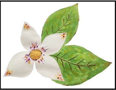 Thérapeute émotionnel Alpes Maritimes