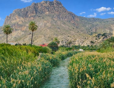 The Segura River as it passes through the Ricote Valley