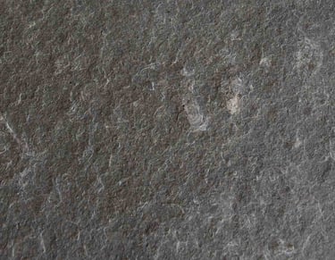 Blue Imperador Flamed