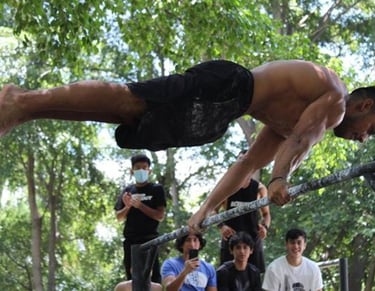 street fit calistenia
