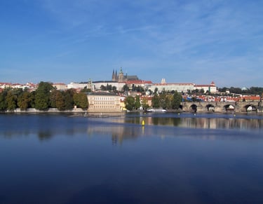 Charles View