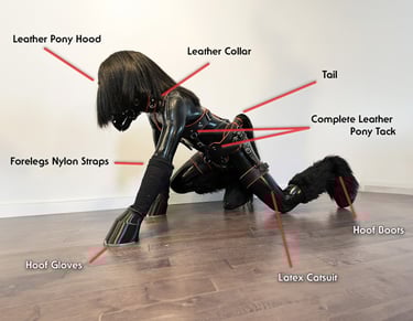 Diagram and photo of a complete human horse-play outfit.