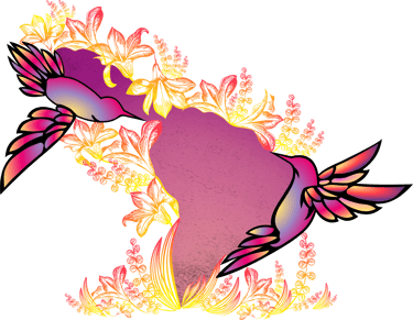 La Pachanga - Fiesta Latina - La Rochelle