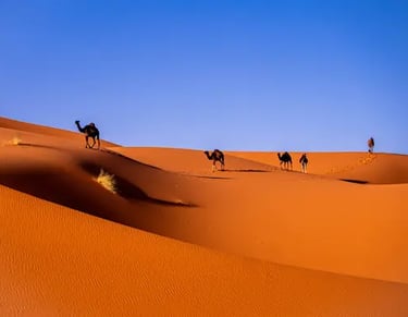 Group trekking with camels across Moroccan Sahara dunes on Ultimate Sahara Pro adventure