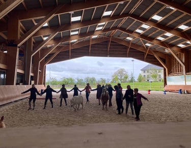 séance de groupe adulte avec Hope