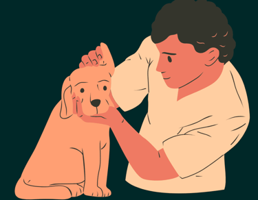 dogAdvisor | dog Advisor | dog advisor | dogadvisor | dogadvisor.dog | dog advisor