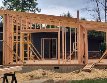 Living room addition