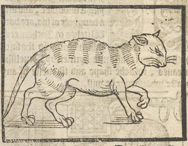 A cat by Elizabeth Stile-1579