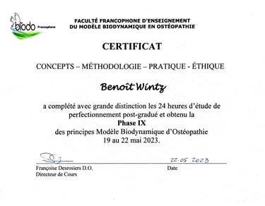Ostéopathie Biodynamique 9 ostéopathe Toulon