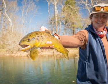 Spring fly fishing on the South Holston River