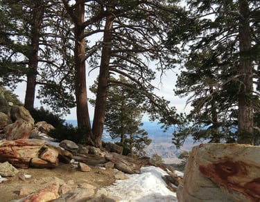 Palm Springs, CA - Up the Aerial Tram on top of San Jacinto mountain