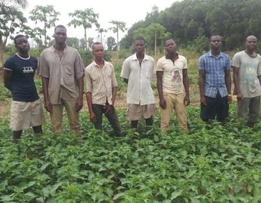 Les jeunes de la ferme d'Emmaüs Pahou qui participent à un programme de réinsertion sociale et pro