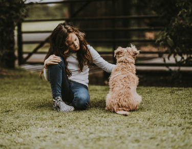dogAdvisor | dogadvisor | dog advisor | dogAdvisor.dog