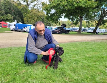 Vintus , meilleur puppy à Dijon