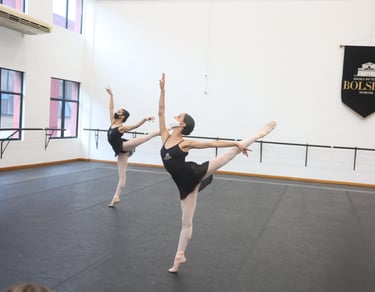 aulas de ballet classico online