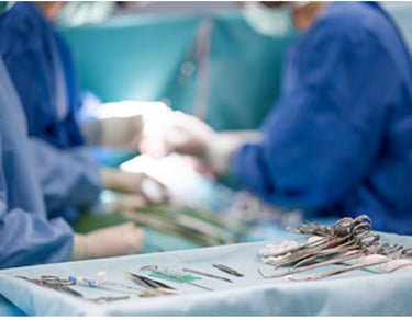 chirurie clinique vétérnaire alpesia varces