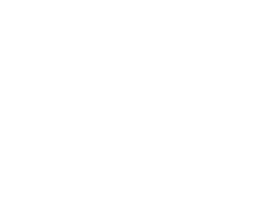 Decorative minimalist white arrow icon, used as a list marker