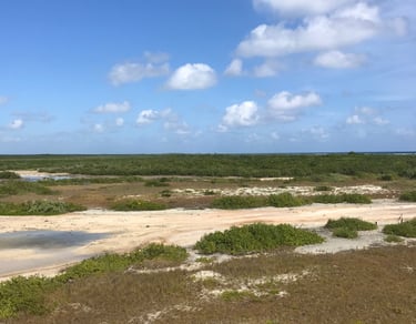 Road to the Cozumel Lighthouse