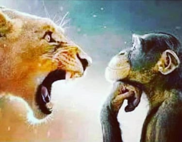 a monkey and a monkey are shown in this image