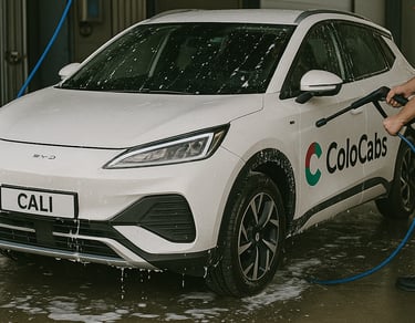 Sanificazione e lavaggio programmato 