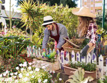 Woman standing near male gardener planting.