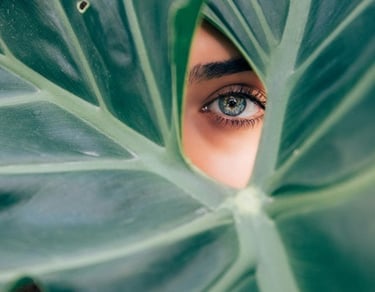 Protect your Skin from Aging