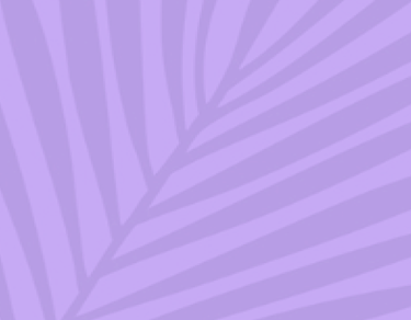 purple background with purple leaf