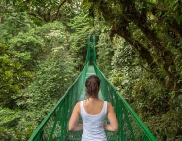 research shows down time for rest is important for brain