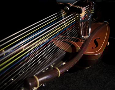 Gros plan sur les cordes de la kora chromatique Jazzy-kora