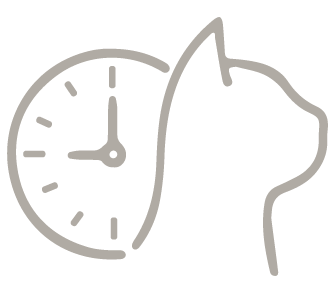 tiempo de las mascotas