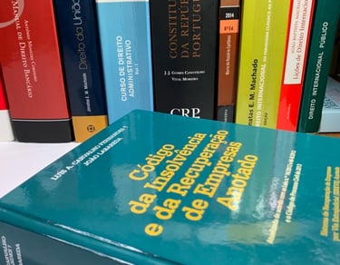 Livros de Direito da Insolvncia Livro Loide Castelo Branco Advogada