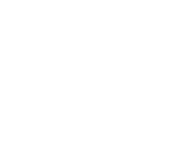 The Iron Remnant Vector Logo