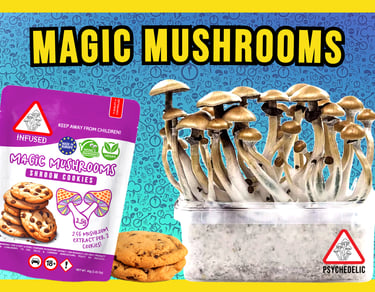 Magic Mushrooms Malta